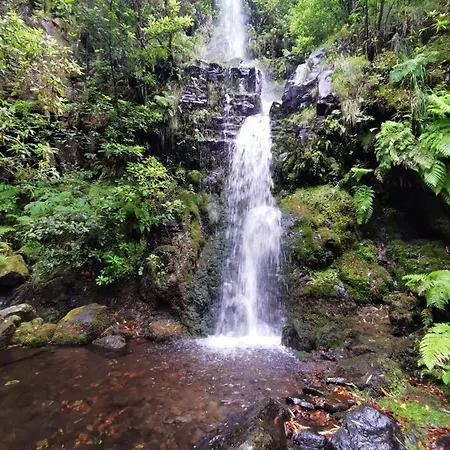 Comfortable In - 20 M² - Terrace