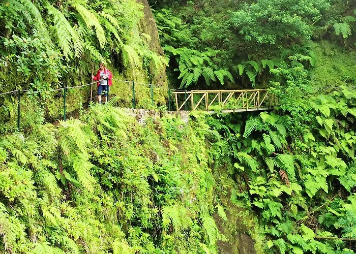 Comfortable In - 20 M² - Terrace 아파트 푼샬