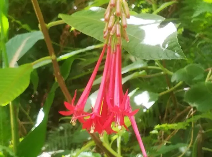 Comfortable In - 20 M² - Terrace 아파트 푼샬