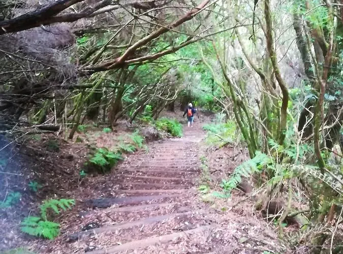 Comfortable In - 20 M² - Terrace 아파트