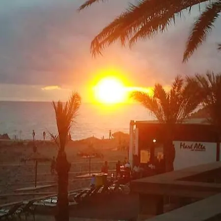 Comfortable In - 20 M² - Terrace Apartamento