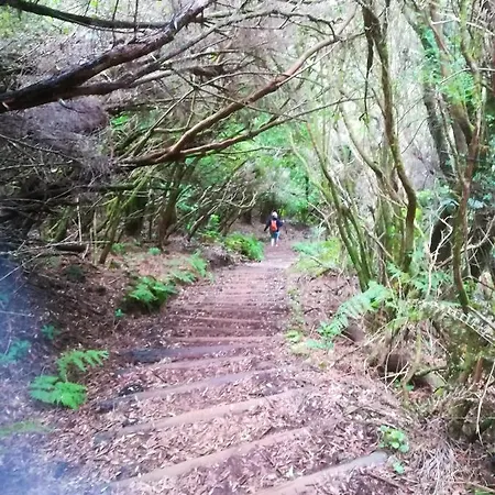 Comfortable In - 20 M² - Terrace Appartement