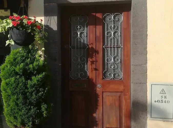 公寓 Comfortable In - 20 M² - Terrace 丰沙尔