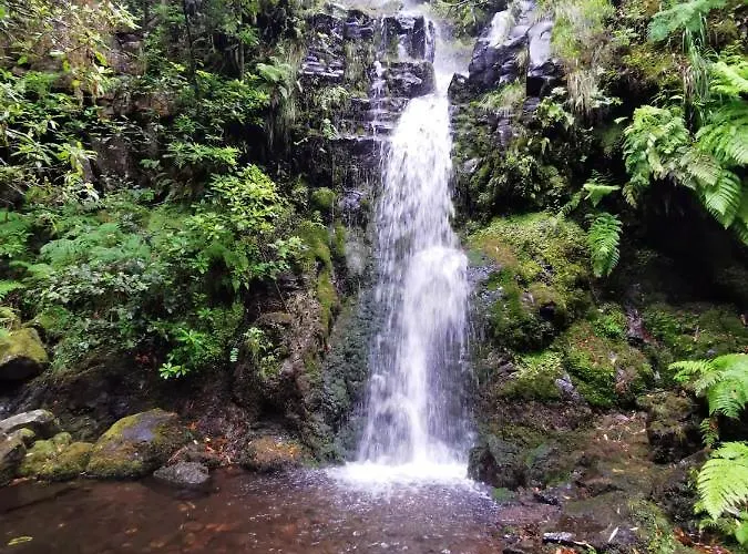 Comfortable In - 20 M² - Terrace