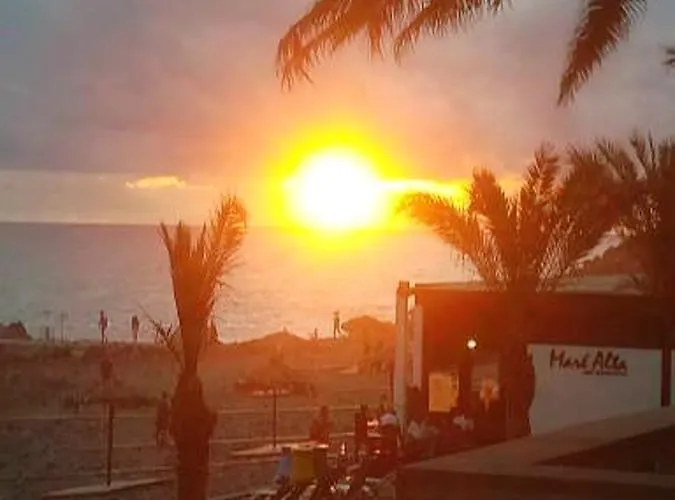 Comfortable In - 20 M² - Terrace 公寓