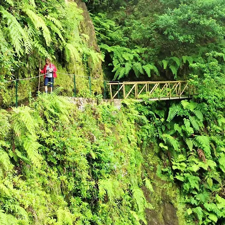 Comfortable In - 20 M² - Terrace Apartament Funchal (Madeira)
